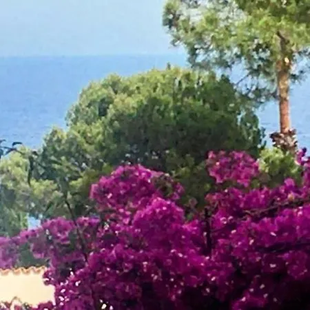 Lets Holidays House In Cala Salions Hébergement de vacances *