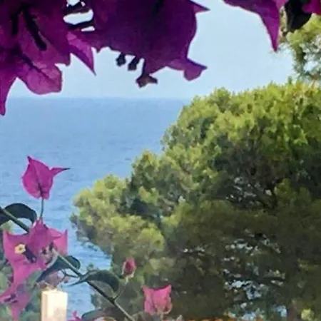 Holiday home House In Cala Salions